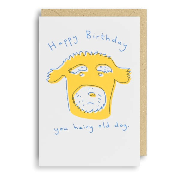 Hairy Old Dog Birthday Card