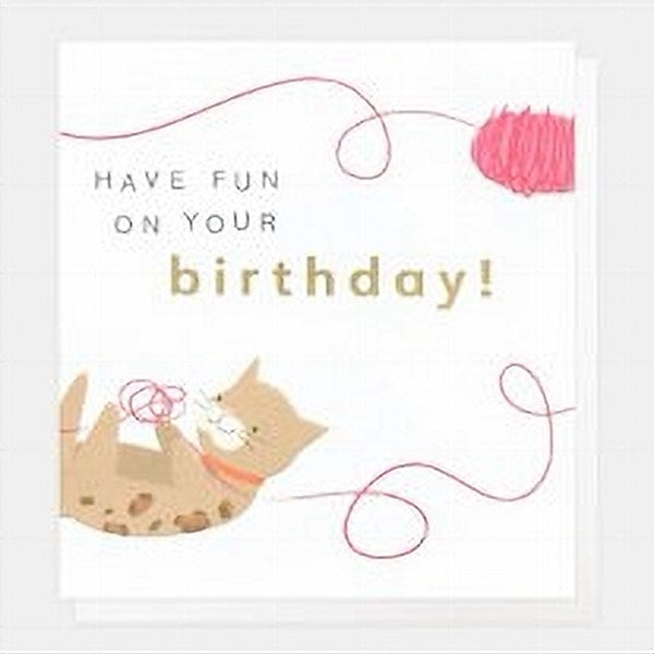 Have Fun On Your Birthday Card