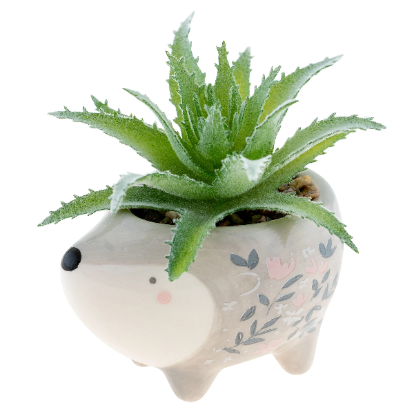 Karma Succulent Pot | Hedgehog