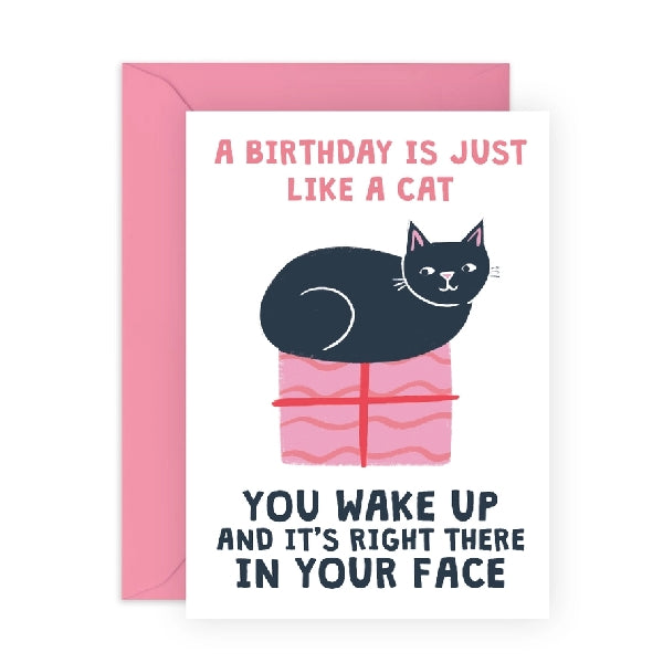 white birthday card with a drawn black cat sitting on a pink gift box. the text above it writes "a birthday is just like a cat" in pink. the bottom text writes "you wake up and it's right there in your face" in black