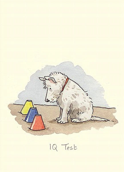 IQ Test Blank Art Card