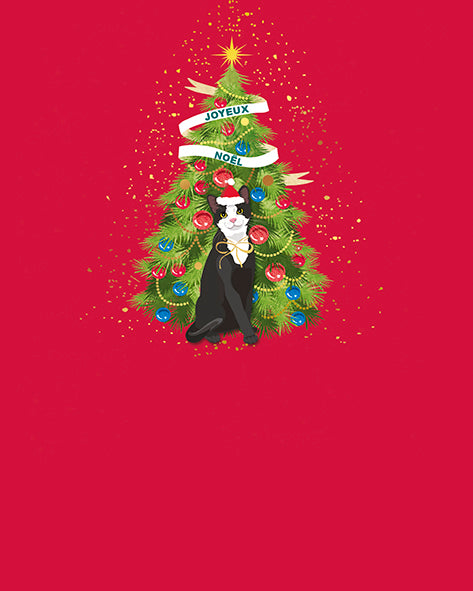 Joyeux Noel Santa Cat French Christmas Card