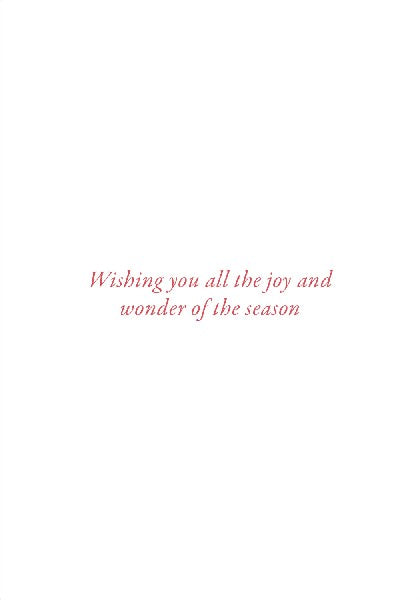 Joy Boxed Christmas Cards