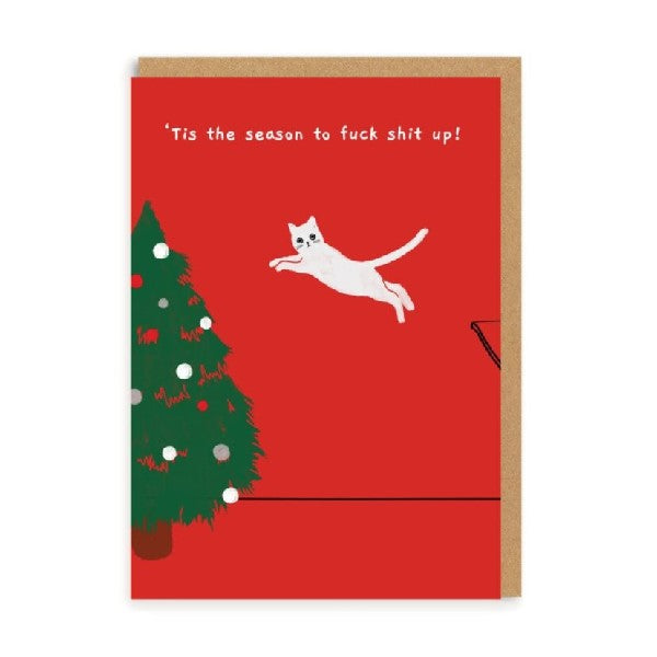 Ken The Cat Boxed Christmas Cards | 4 Each of 3 Styles