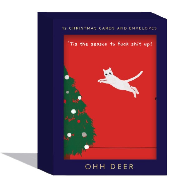 Ken The Cat Boxed Christmas Cards | 4 Each of 3 Styles