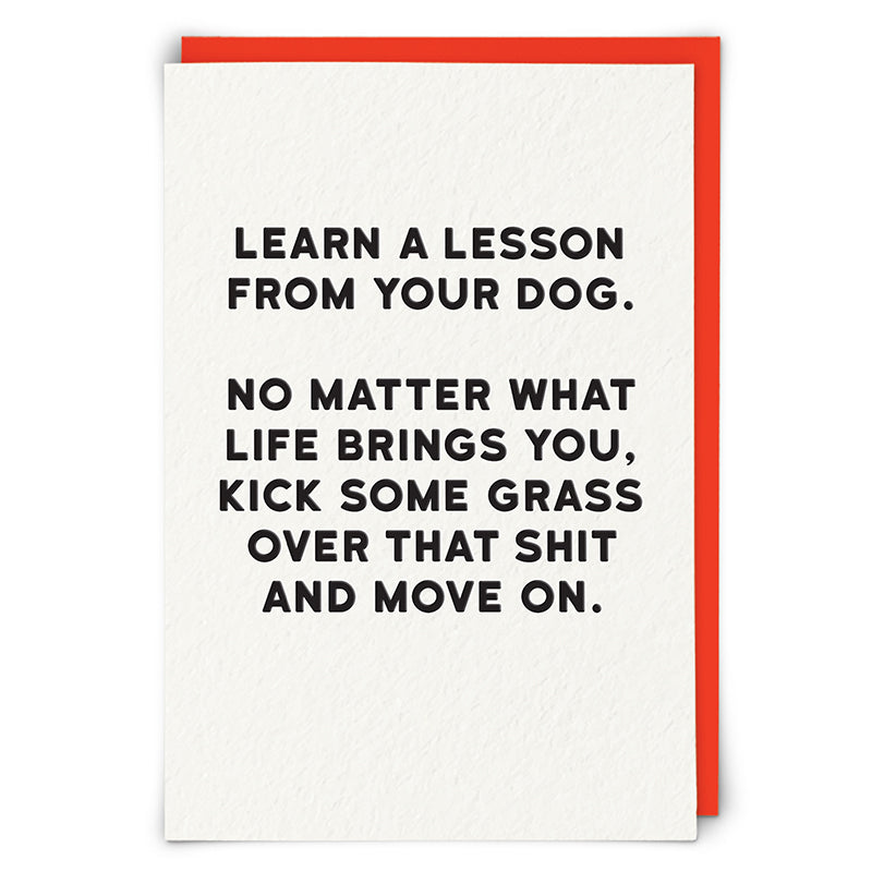 Learn A Lesson From Your Dog Blank Humour Card
