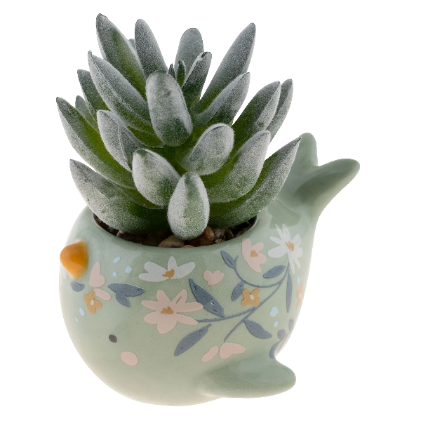 Karma Succulent Pot | Narwhal