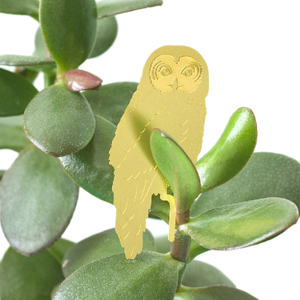 Owl Houseplant Decoration