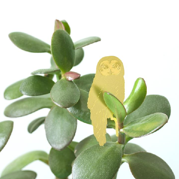 Owl Houseplant Decoration