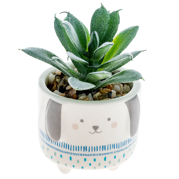 Karma Succulent Pot | Dog