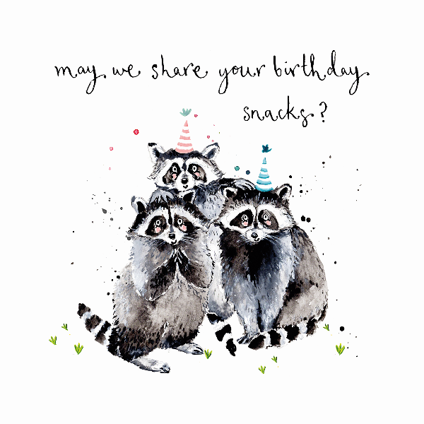 Party Racoons Birthday Card