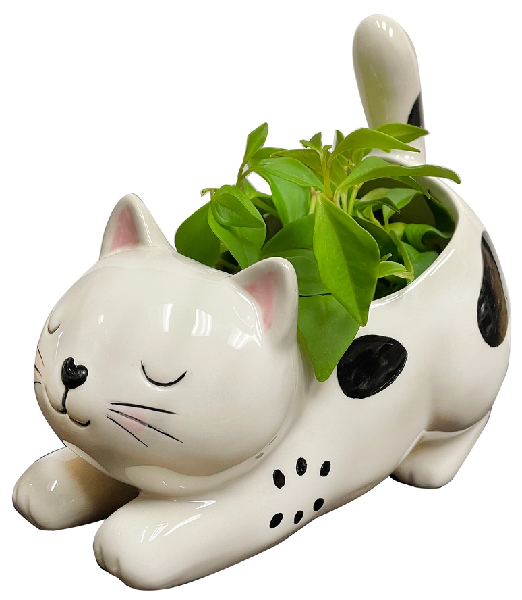 Raise Your Bum Kitty Planter