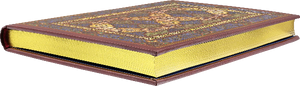 Safavid Splendor Small Journal
