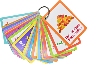 Seek-And-Find Scavenger Hunt Card Set | Nature And Travel