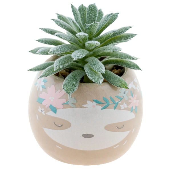 Karma Succulent Pot | Sloth