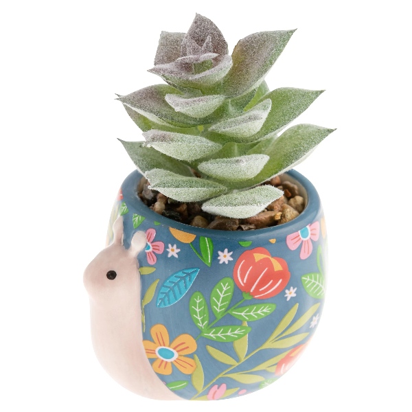 Karma Succulent Pot | Snail
