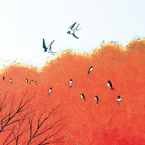 Song Of The Swallows Blank Art Card