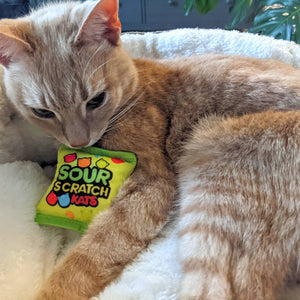 Sour Scratch Cats Catnip Toy