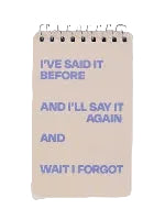 Blue Q Spiral Notebook 3"x 5" | Said It Before