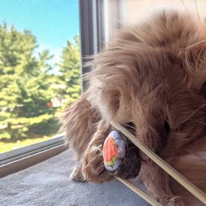 Sushi Catnip Toy