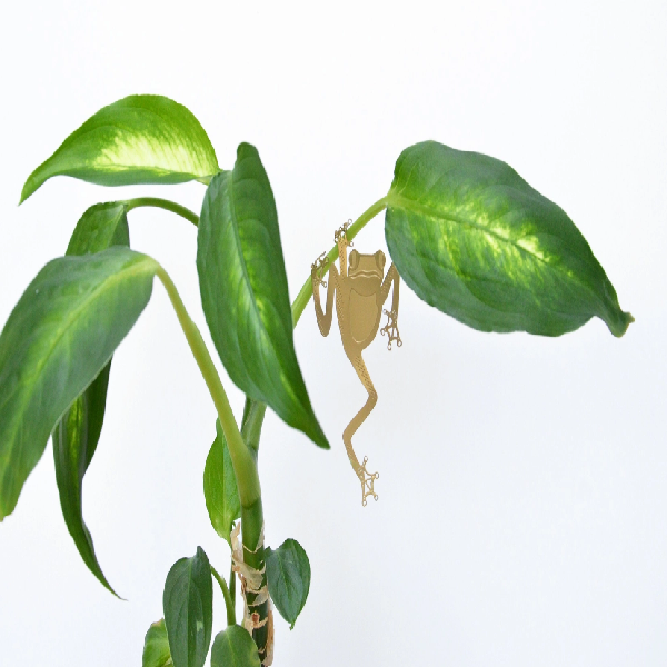 Tree Frog Houseplant Decoration Plant Accessories The Gifted Type