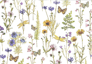 white blank card. a pattern of butterflies, plants, and flowers is repeated on the cover