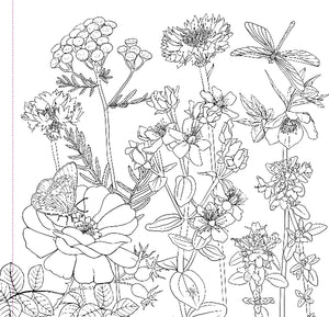 Wildflowers Colouring Book