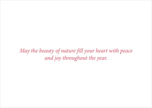 Winter Wonderland Boxed Christmas Cards | Set of 20