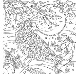 Witchcraft And Wonder Colouring Book