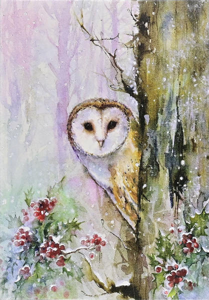 Woodland Owl Boxed Christmas Cards