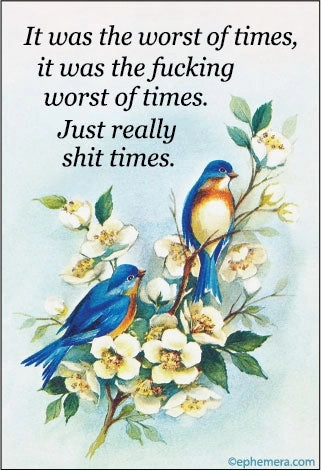 The Fucking Worst Of Times Magnet