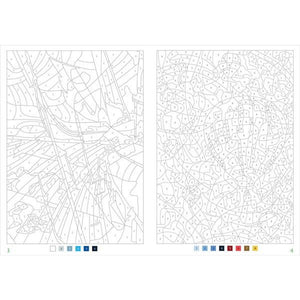100 Mystery Illustrations