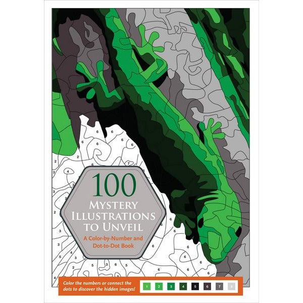 100 Mystery Illustrations