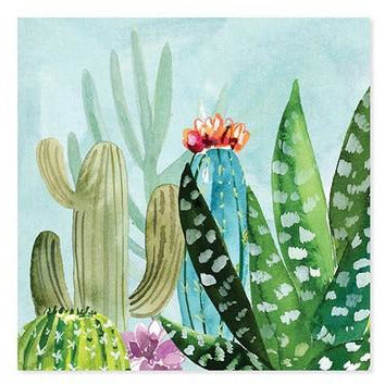 Cacti - 1231