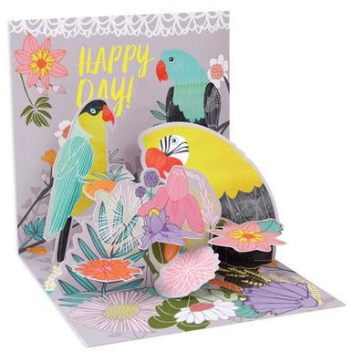 Tropical Birds - 1279