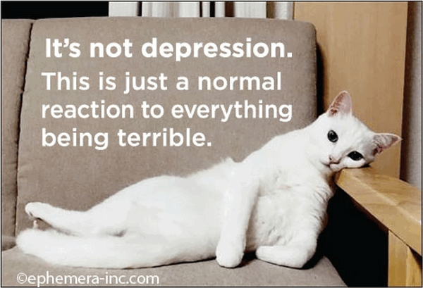 It's Not Depression Magnet