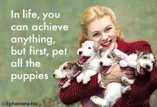 Pet All The Puppies Magnet