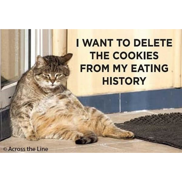Delete The Cookies - Magnet