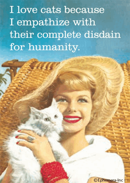 Disdain For Humanity Magnet