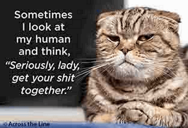 Look At My Human Magnet