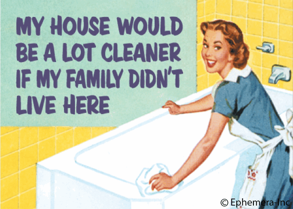 Cleaner House Magnet