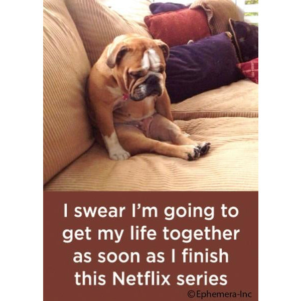 I Swear I'm Going - Magnet