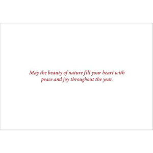 Furry Friends Boxed Christmas Cards