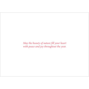 Birds & Berries -6799