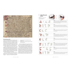 Calligraphy A Comprehensive Guide To Beautiful Writing | Creative And DIY Books | The Gifted Type