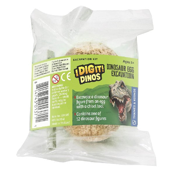 Dino Excavation Egg