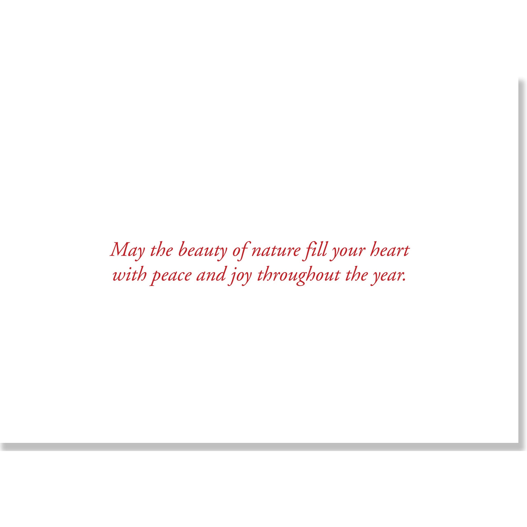 Winterberry & Chickadee Boxed Holiday Cards