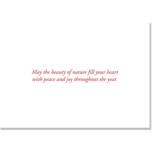 Winterberry & Chickadee Boxed Holiday Cards