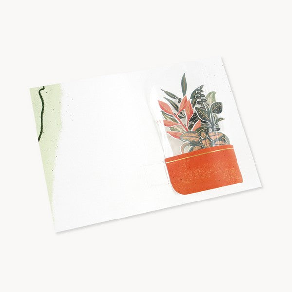 Terrarium - AL075
