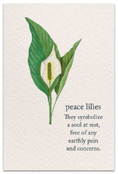 Peace Lilies Sympathy Card